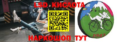 apvp Бийск