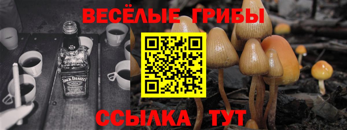 Псилоцибиновые грибы мухоморы Клин
