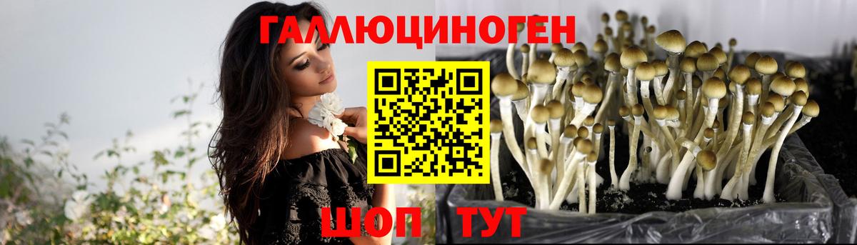 Псилоцибиновые грибы Cubensis  Вход с VPN  Клин  Галлюциногенные грибы MAGIC MUSHROOMS 